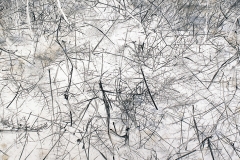 Suelo_zen_1-det