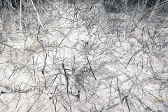 Suelo_zen_1