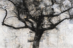Árbol_piedras