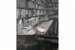 Biblioteca-oveja