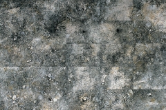 Horniguero1
