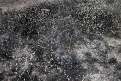 Suelo_conejos-2