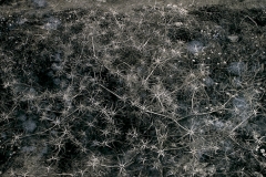 Suelo_constelacion-1