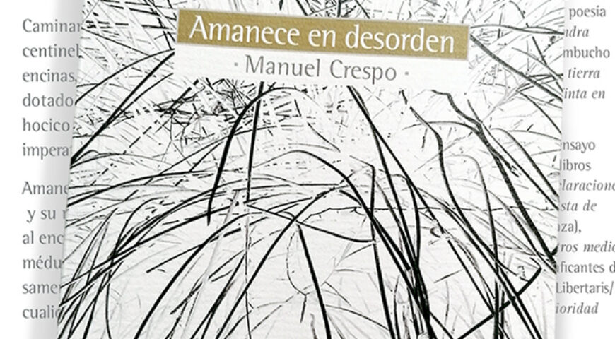 Amanece en desorden